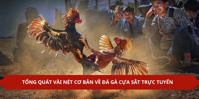 Vài nét về đá gà cựa sắt tại abc8